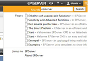 Image of the global search interface